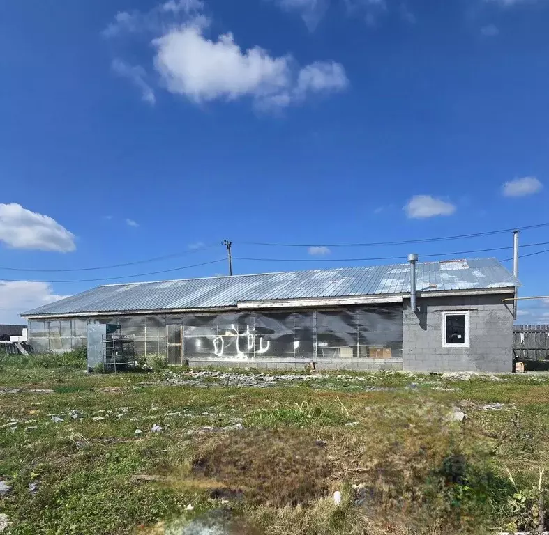 Дом в Свердловская область, Каменский муниципальный округ, с. Большая ... - Фото 1