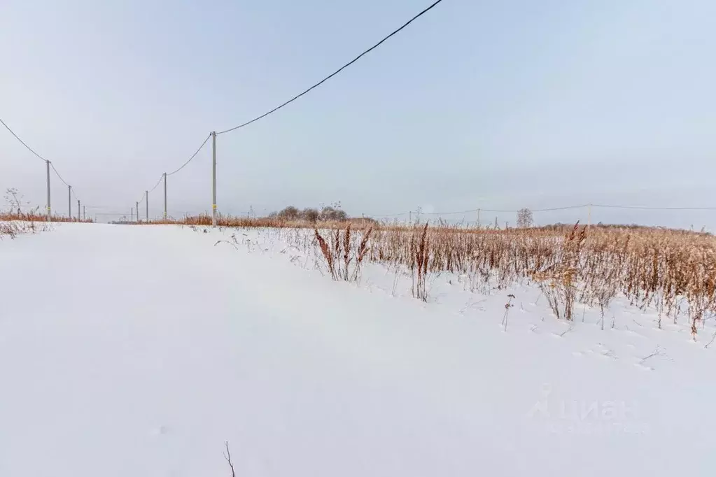 Участок в Тюменская область, Тюменский муниципальный округ, д. Большие ... - Фото 1