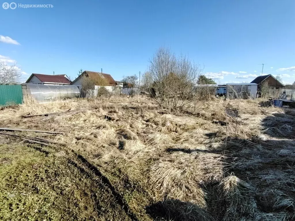 Участок в Волхов, садоводческое некоммерческое товарищество Труженик, ... - Фото 1