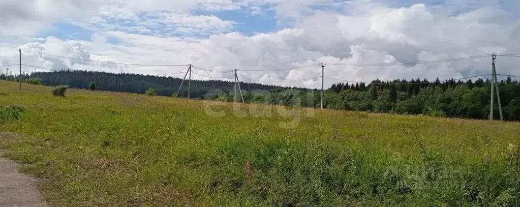 Участок в Пермский край, Пермский муниципальный округ, д. Ложки ул. ... - Фото 2