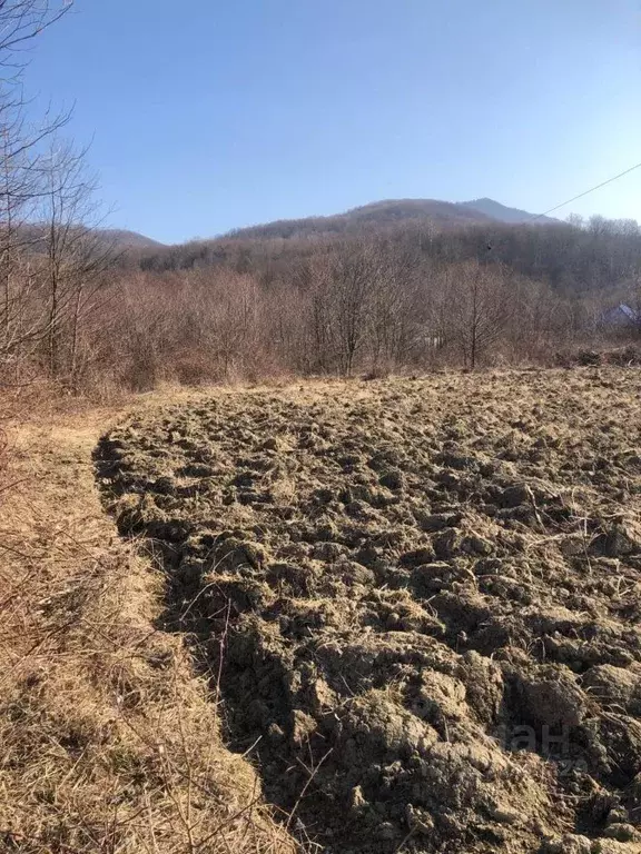 Участок в Краснодарский край, Туапсинский муниципальный округ, с. ... - Фото 1
