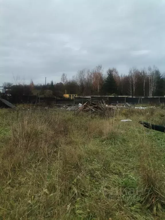 Участок в Ленинградская область, Гатчина Большая Загвоздка ... - Фото 1