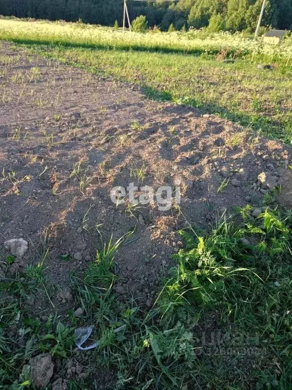 Участок в Ленинградская область, Ломоносовский район, Лопухинское ... - Фото 1