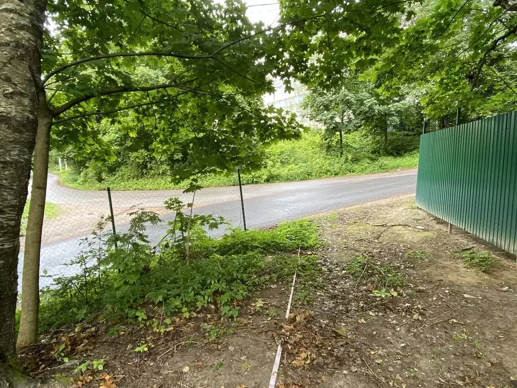 Участок в Ленинградская область, Всеволожский район, Токсовское ... - Фото 1