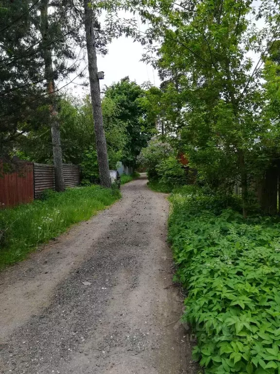 Участок в Московская область, Люберцы городской округ, Малаховка пгт ... - Фото 1