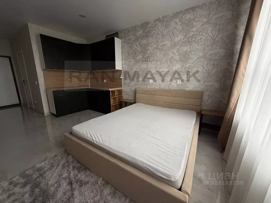 Студия Адыгея, Майкоп ул. К.А. Васильева, 2к2 (19.7 м) - Фото 1