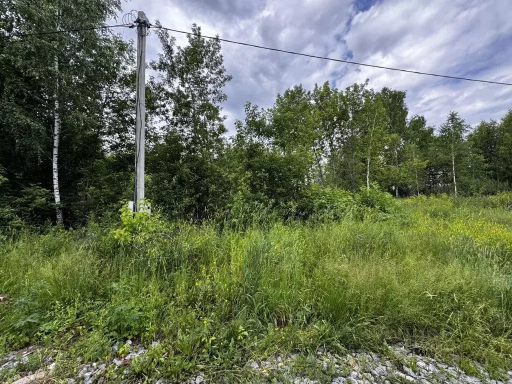 Участок, 10 сот., сельхоз (снт или днп) - Фото 2