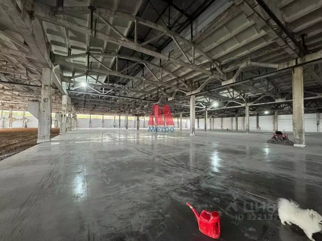 Склад в Ярославская область, Ярославль Промышленная ул., 22 (5000 м) - Фото 2