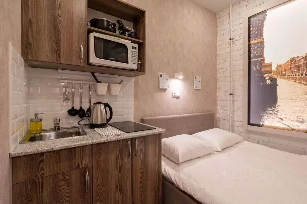 1-к кв. Санкт-Петербург Казанская ул., 33/5 (11.0 м) - Фото 1
