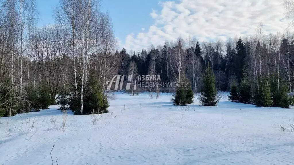 Участок в Московская область, Мытищи городской округ, д. Долгиниха ... - Фото 0