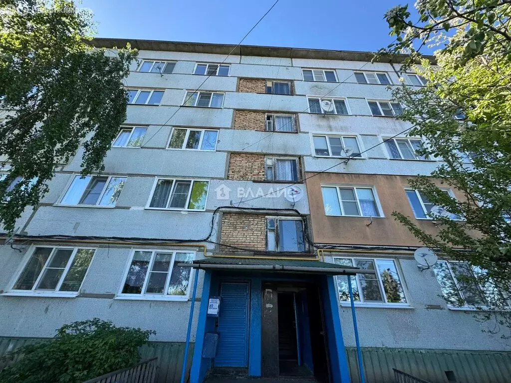 2-комнатная квартира: село Старая Каменка, Молодёжная улица, 2 (53.1 ... - Фото 1
