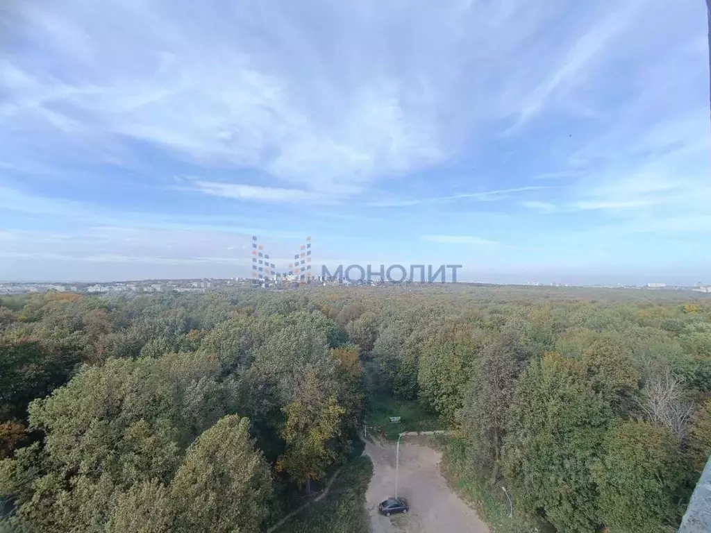 2-к кв. Нижегородская область, Нижний Новгород Анкудиновское ш., 34 ... - Фото 1