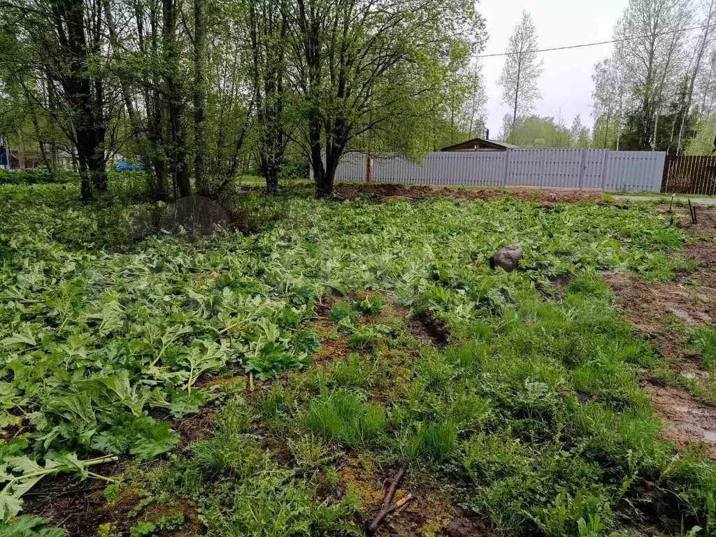 Участок 7,5 сот. (СНТ, ДНП) - Фото 0