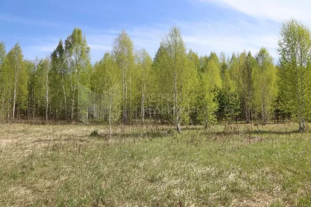 Участок в Тюменская область, Нижнетавдинский район, Геолог-2 СНТ 3-я ... - Фото 1