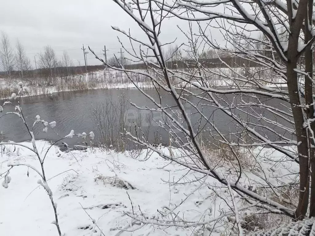 Дом в Нижегородская область, Арзамас городской округ, с. Криуша  (34 ... - Фото 1