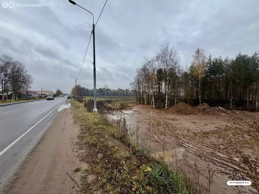 Участок в деревня Огуднево, Молодёжная улица (30 м) - Фото 2