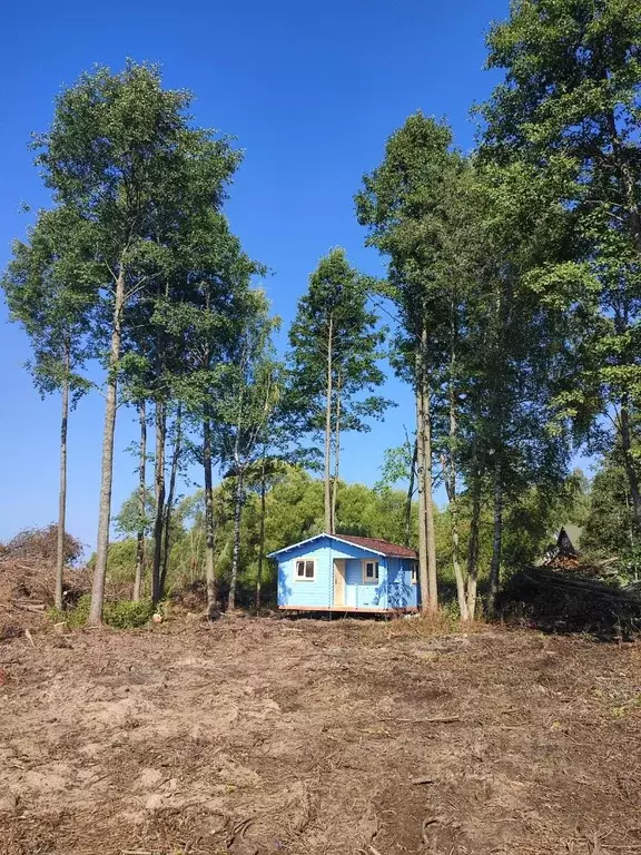 Дом в Тверская область, Кашинский городской округ, д. Волжанка 25 (30 ... - Фото 0