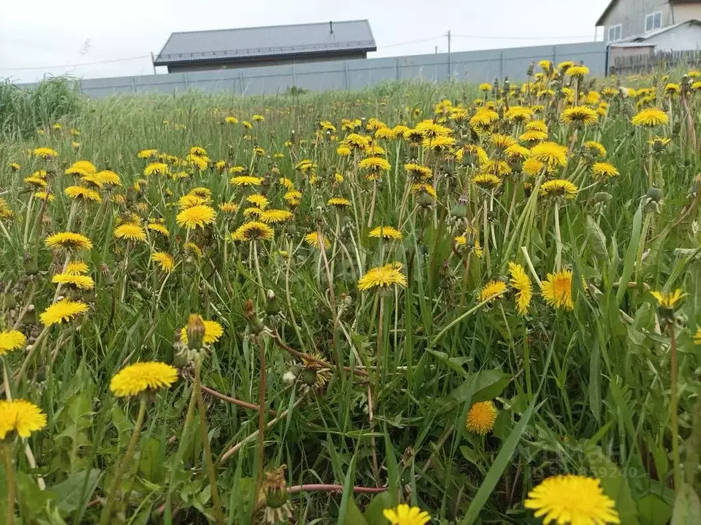 Дом в Тюменская область, Тюменский муниципальный округ, д. Падерина ... - Фото 1