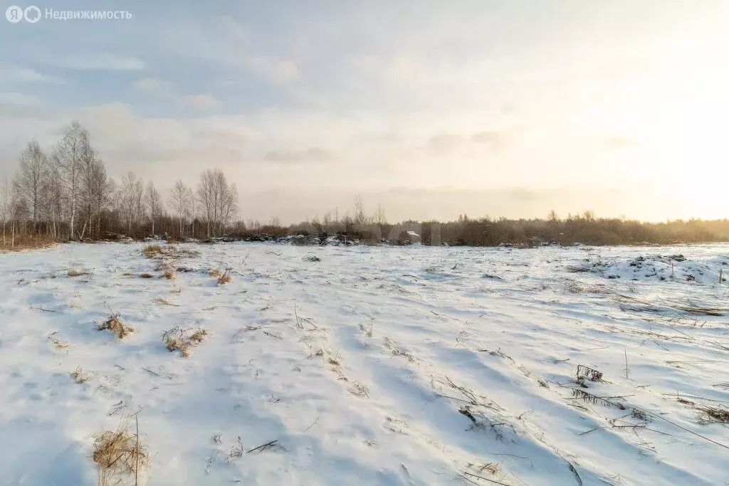 Участок в Тюмень, СНТ Берёзка, 2-я Садовая улица (10 м) - Фото 1