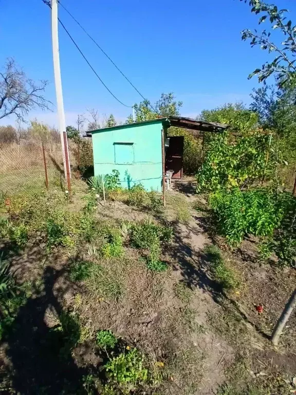 Участок в Ростовская область, Азовский район, Новоалександровка хут.  ... - Фото 2
