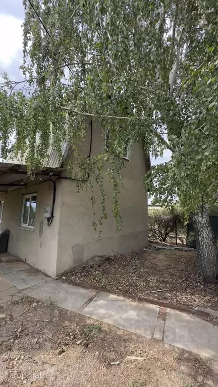 Дом в Волгоградская область, Дубовский район, Пичужинское с/пос, Сталь ... - Фото 1