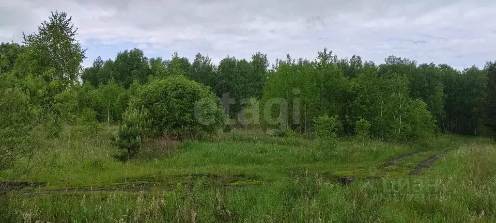 Участок в Красноярский край, Большемуртинско-Сухобузимский ... - Фото 2