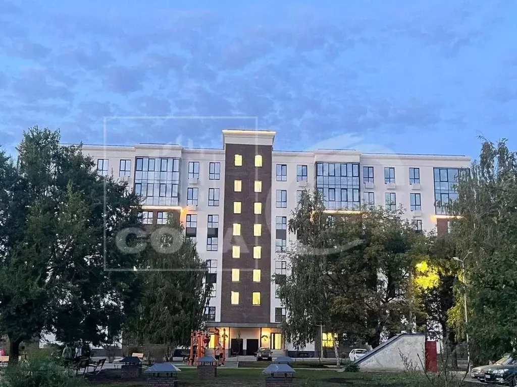 3-к кв. Воронежская область, с. Новая Усмань ул. Ленина, 312А (65.7 м) - Фото 1