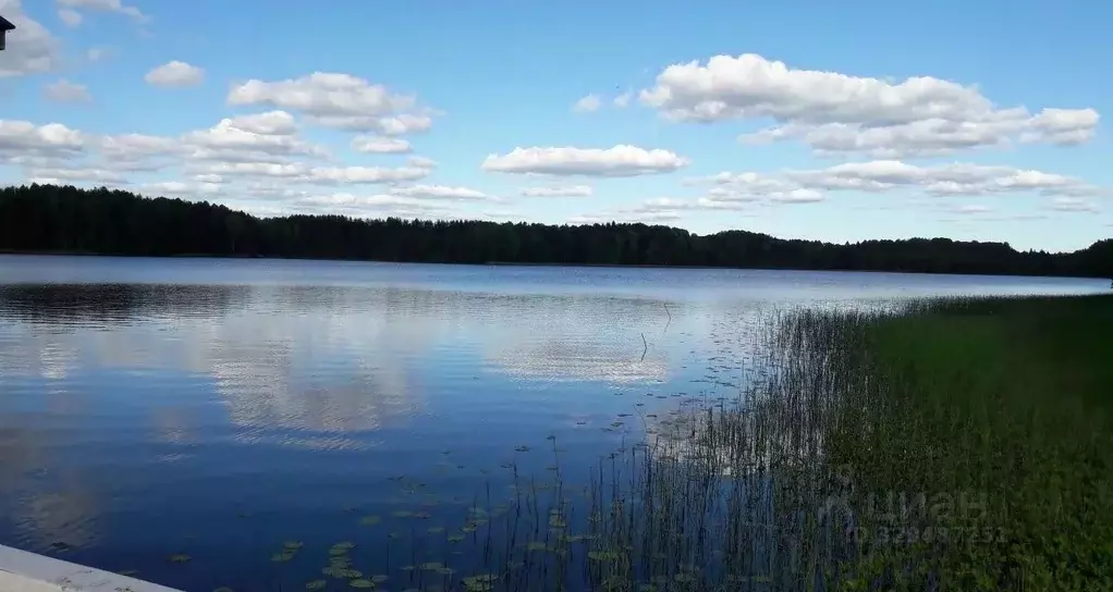 Дом в Ленинградская область, Лодейнопольский район, Алеховщинское ... - Фото 1