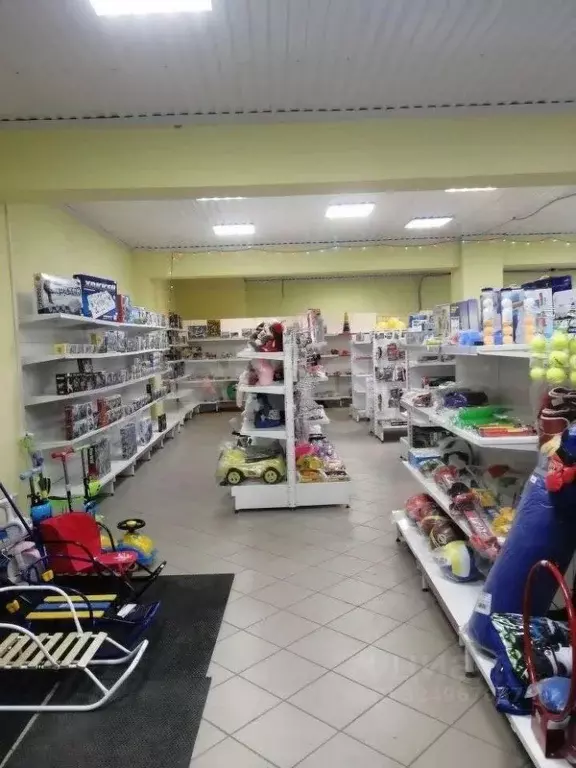 Помещение свободного назначения в Башкортостан, с. Бураево ул. ... - Фото 1