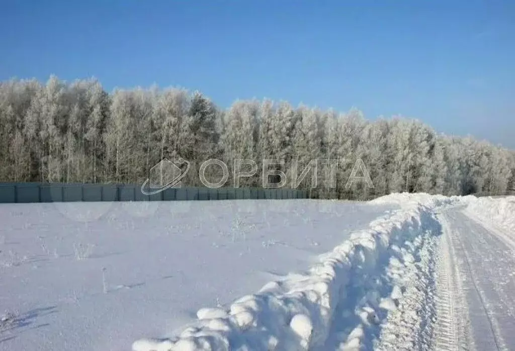 Участок в Тюменская область, Тюменский район, д. Марай  (11.29 сот.) - Фото 0