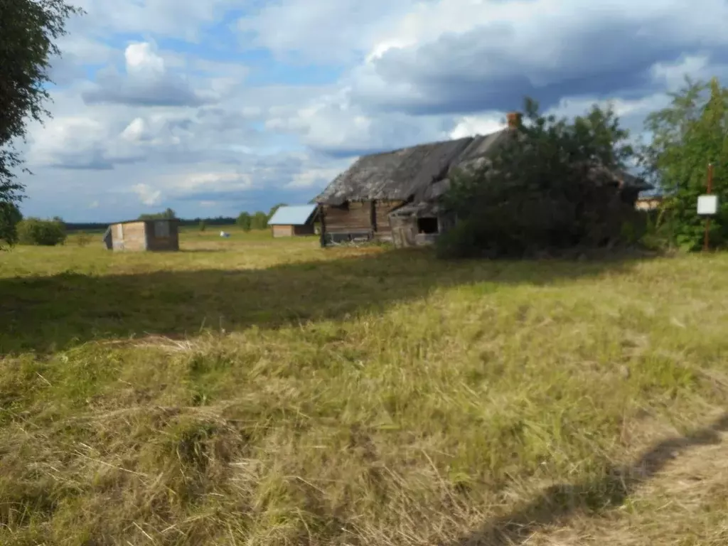 Дом В Вологодской Области Купить Грязовецкий