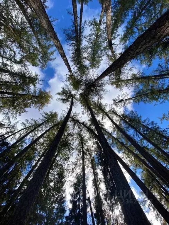 Участок в Ленинградская область, Выборгский район, Рощинское городское ... - Фото 1