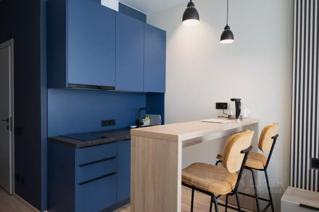 Студия Санкт-Петербург просп. Энергетиков, 8к2 (26.0 м) - Фото 2