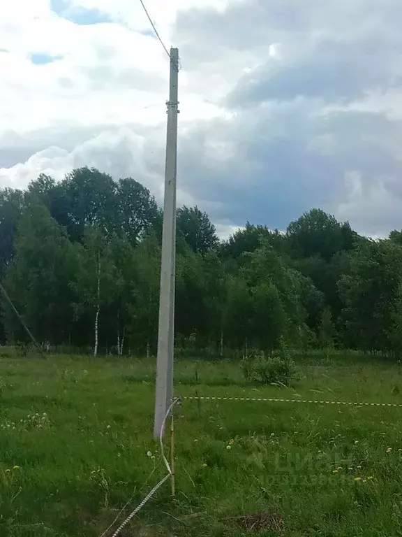 Участок в Ленинградская область, Лужский район, Дзержинское с/пос, ... - Фото 1