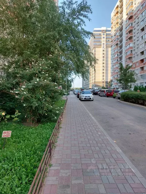 Помещение свободного назначения в Краснодарский край, Краснодар ул. ... - Фото 1