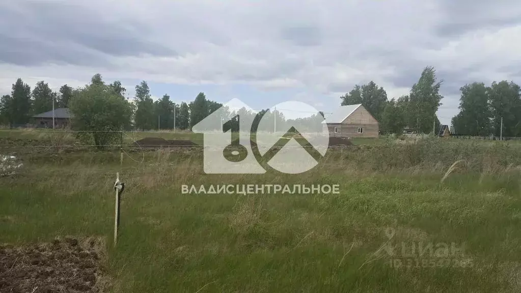 Участок в Новосибирская область, Новосибирский район, с. Верх-Тула ул. ... - Фото 1