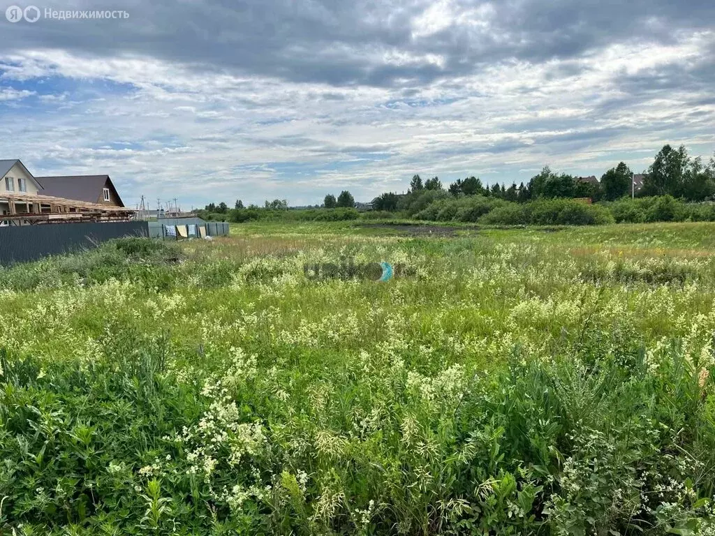 Участок в деревня Грибовка, Молодёжная улица, 1 (8 м) - Фото 1