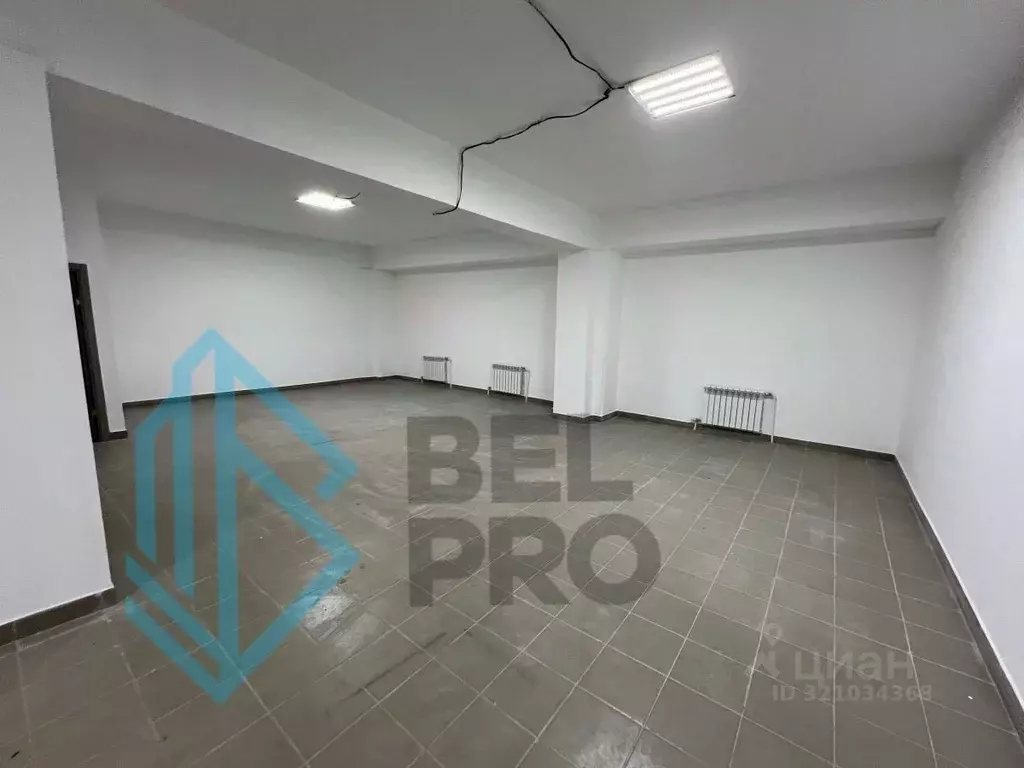 Торговая площадь в Московская область, Воскресенск Новлянский мкр, ул. ... - Фото 2