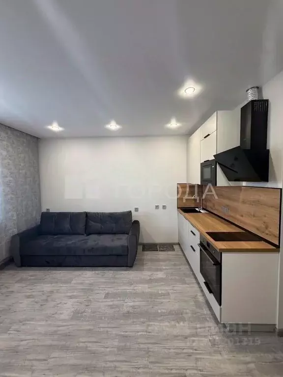 Студия Новосибирская область, Новосибирск 2-я Воинская ул., 53 (24.4 ... - Фото 1