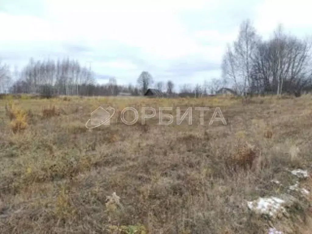 Участок в Тюменская область, Тюменский район, Нива СНТ ул. Урожайная, ... - Фото 0