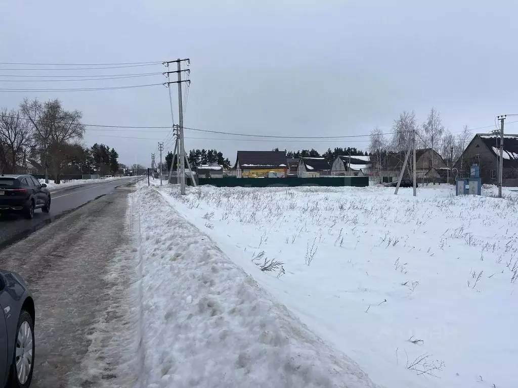 Участок в Воронежская область, Рамонский район, с. Новоживотинное ., Купить  земельный участок Новоживотинное, Рамонский район, ID объекта - 20006781384