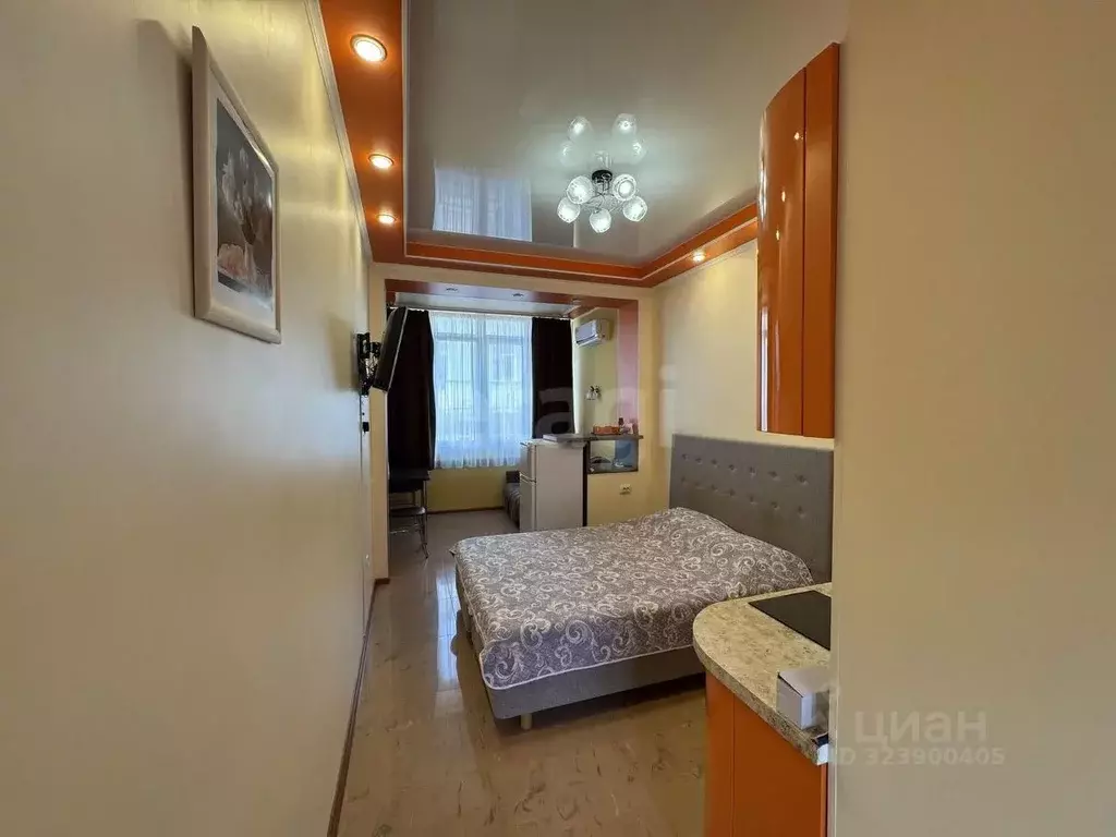 Студия Севастополь с. Орловка, ш. Качинское, 35/45 (22.0 м) - Фото 1