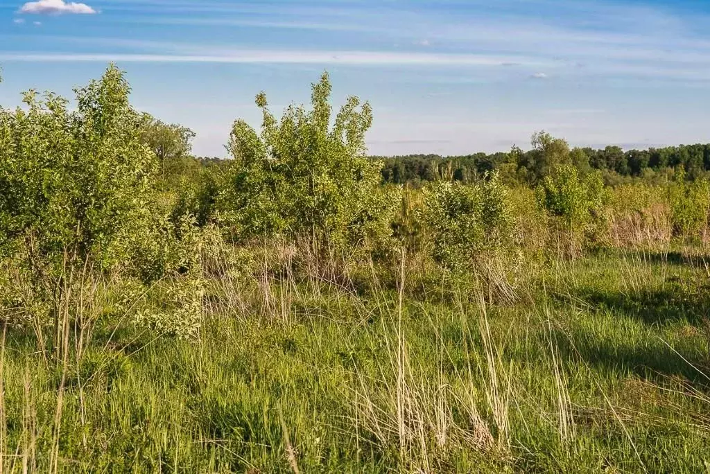 Участок в Московская область, Истра городской округ, д. Чесноково, ... - Фото 1