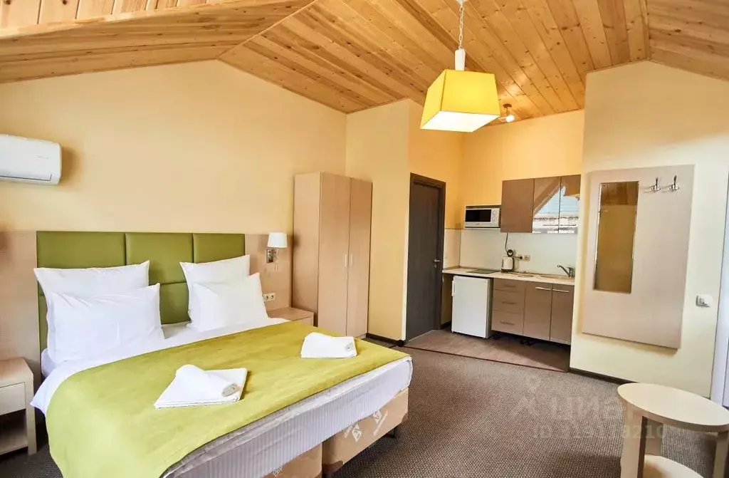Студия Краснодарский край, Сочи Курортный просп., 111/5к10 (28.0 м) - Фото 0