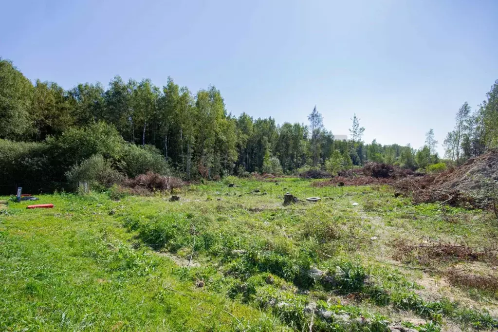 участок в московская область, наро-фоминский городской округ, с. . - Фото 1