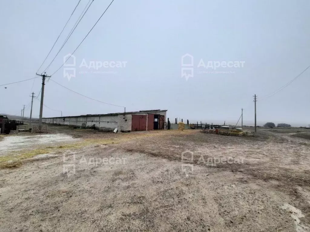 Участок в Волгоградская область, Светлоярский район, Кировское с/пос, ... - Фото 0