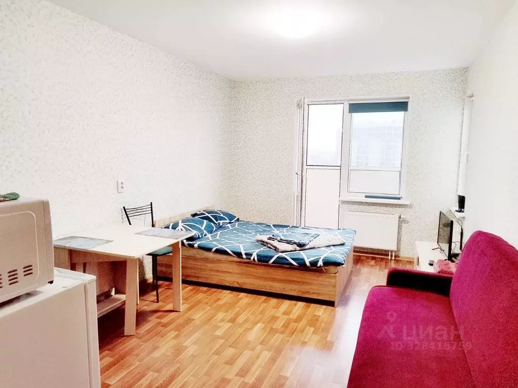 Студия Санкт-Петербург ул. Бабушкина, 84к2 (25.0 м) - Фото 1