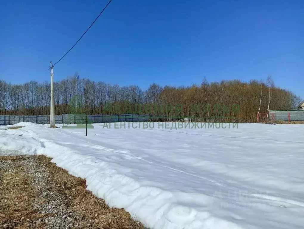 Участок в Калужская область, Тарусский муниципальный округ, Алекино ... - Фото 2