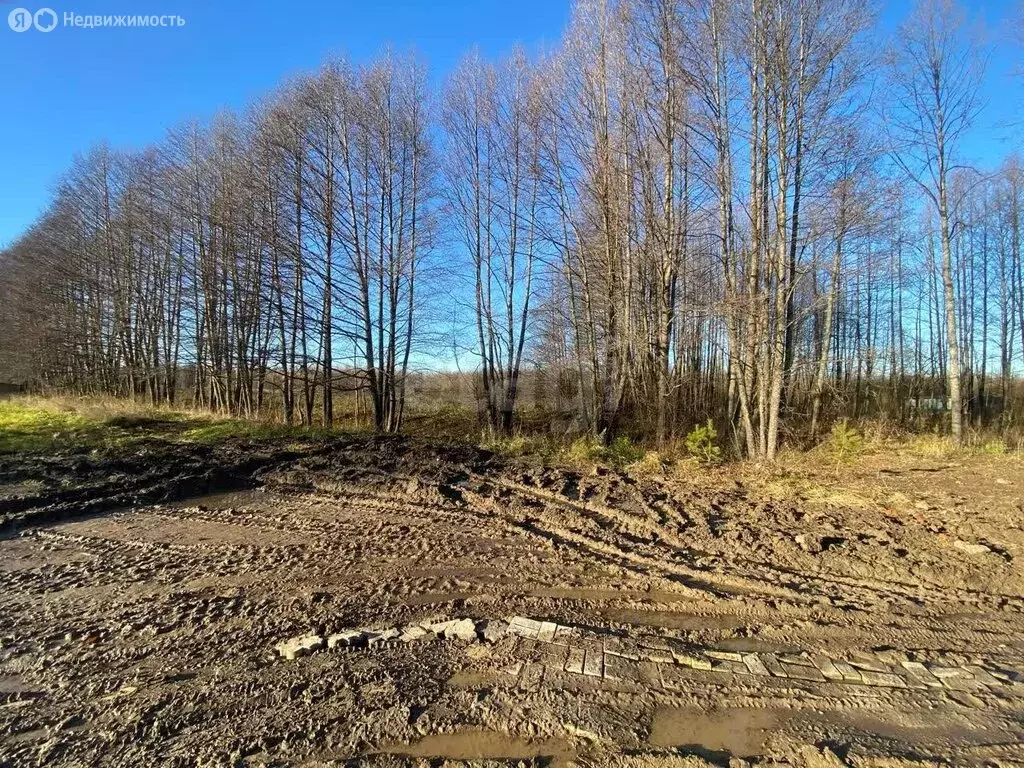 Участок в Медведевский район, Сидоровское сельское поселение, деревня ... - Фото 1