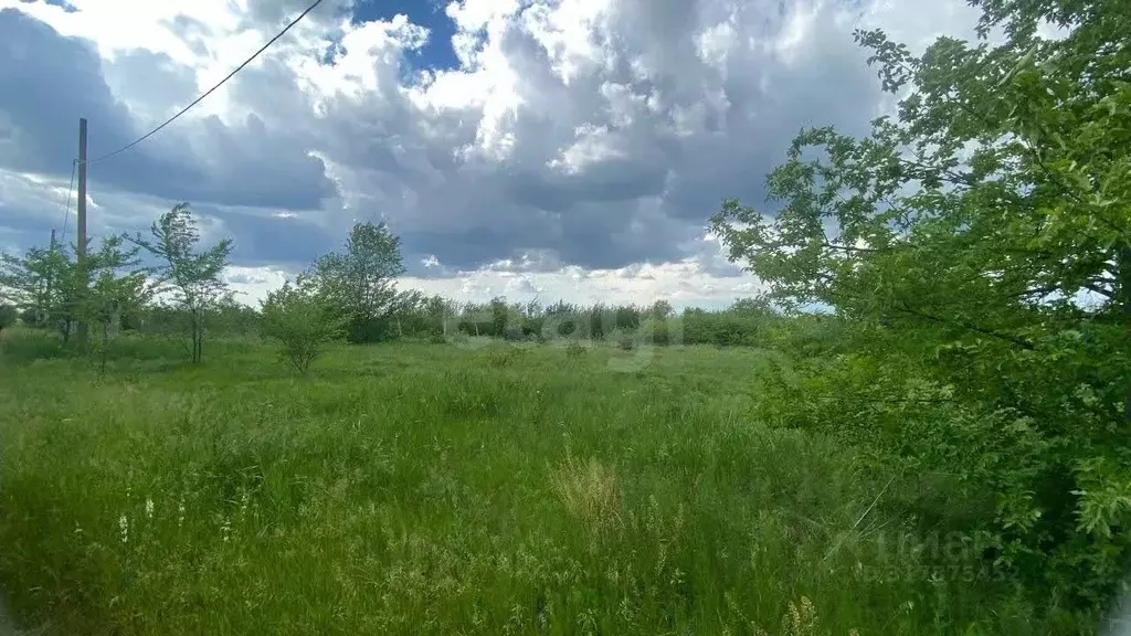 Участок в Ростовская область, Кагальницкий район, Кировское с/пос, ... - Фото 0